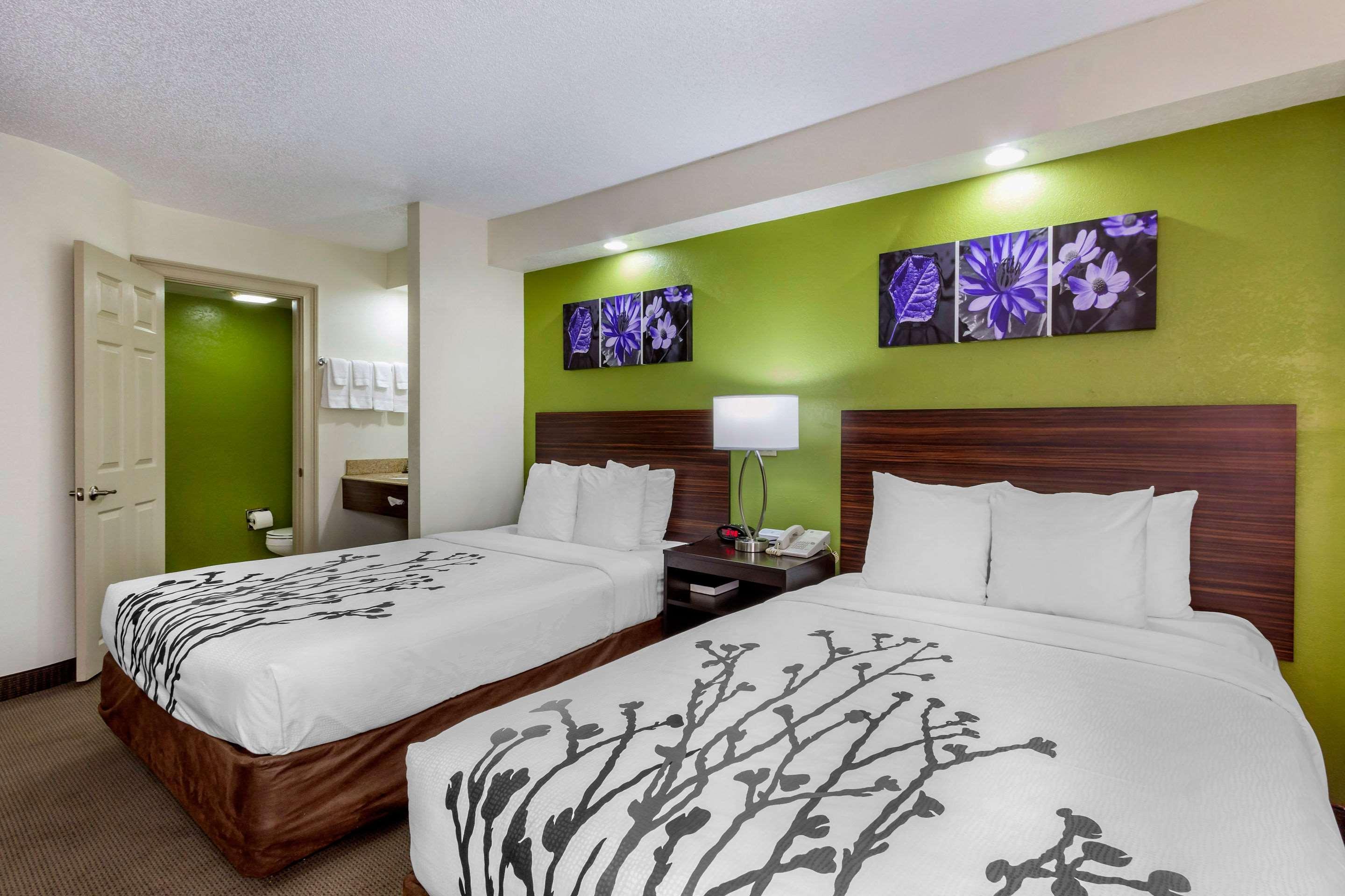 Sleep Inn near Busch Gardens - USF Temple Terrace Exterior foto