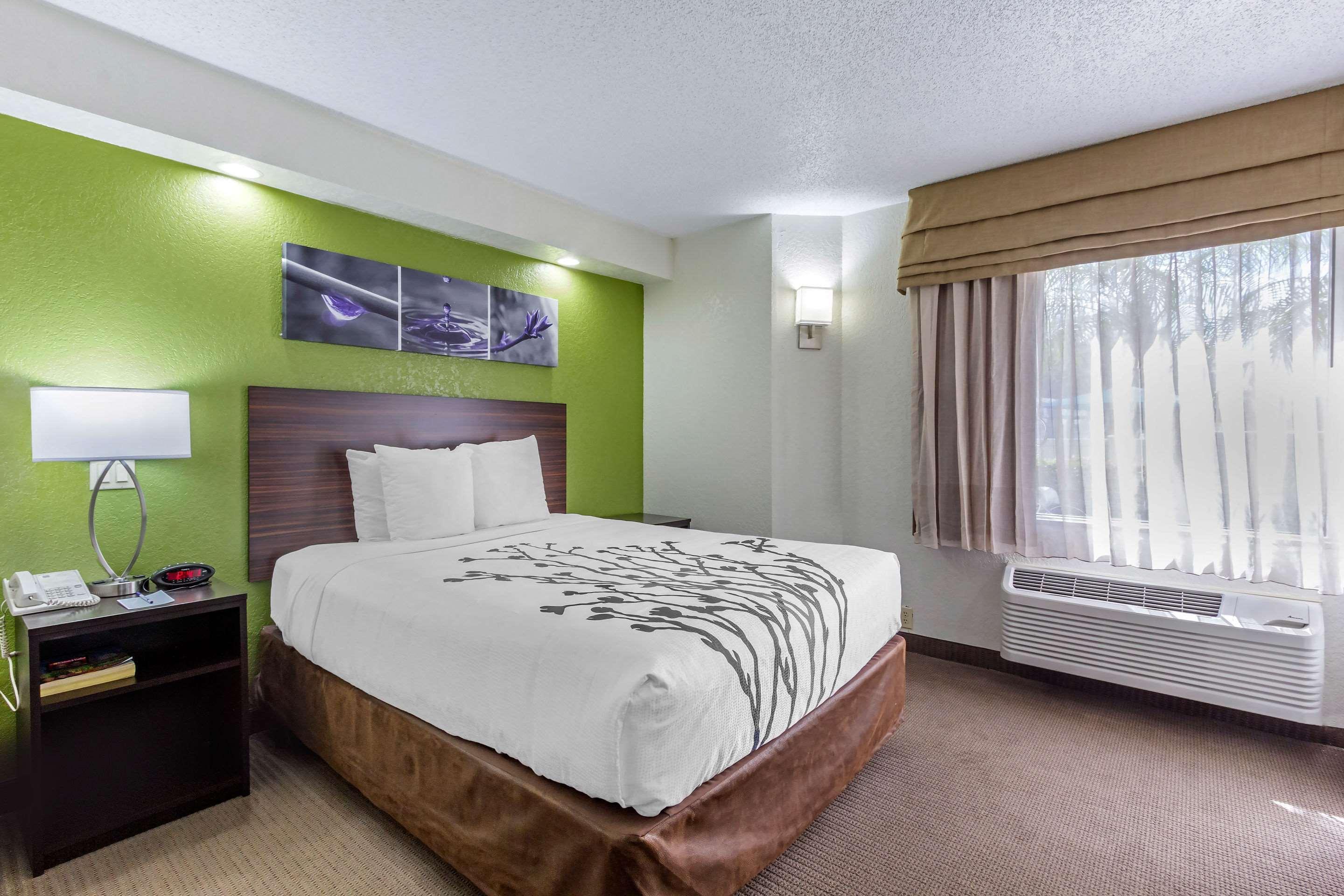 Sleep Inn near Busch Gardens - USF Temple Terrace Exterior foto