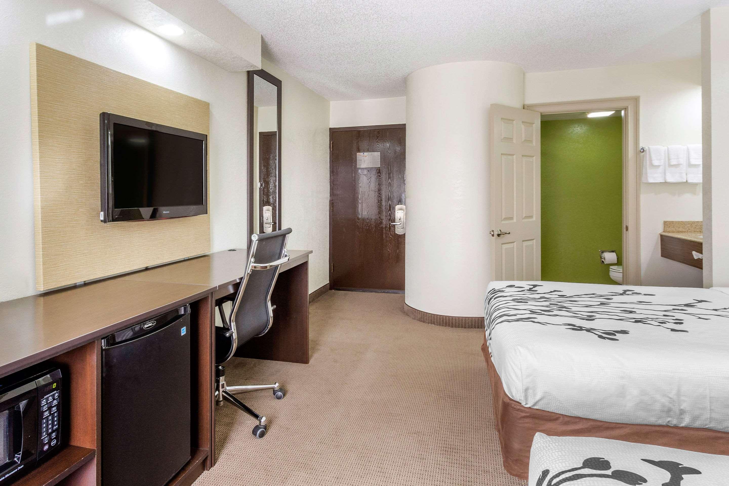 Sleep Inn near Busch Gardens - USF Temple Terrace Exterior foto